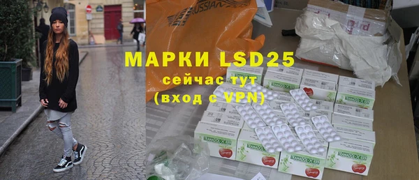 ПСИЛОЦИБИНОВЫЕ ГРИБЫ Алексеевка