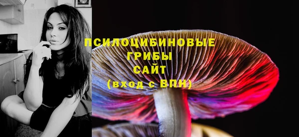 PSILOCYBIN Алексин