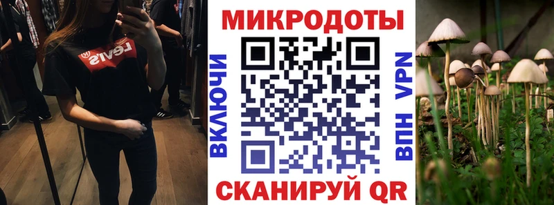 даркнет сайт  Дмитровск  маркетплейс состав  Галлюциногенные грибы Psilocybine cubensis 